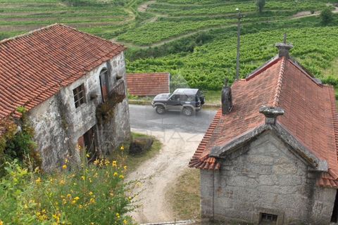 Villa i Fervenca, Braga, Fervenca - € 300.000 | Ref: TRZ_JT_426 - foto 2