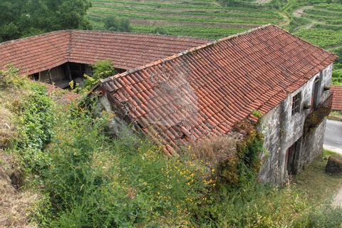 Villa i Fervenca, Braga, Fervenca - € 300.000 | Ref: TRZ_JT_426 - foto 13