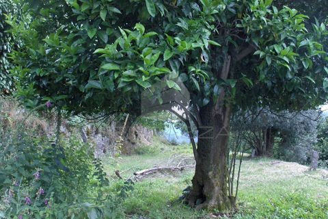 Villa i Fervenca, Braga, Fervenca - € 300.000 | Ref: TRZ_JT_426 - foto 17