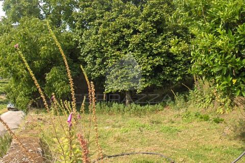 Villa i Fervenca, Braga, Fervenca - € 300.000 | Ref: TRZ_JT_426 - foto 18