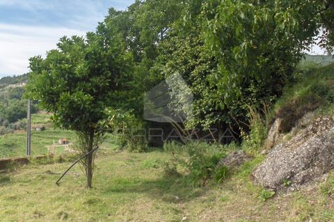 Villa i Fervenca, Braga, Fervenca - € 300.000 | Ref: TRZ_JT_426 - foto 19