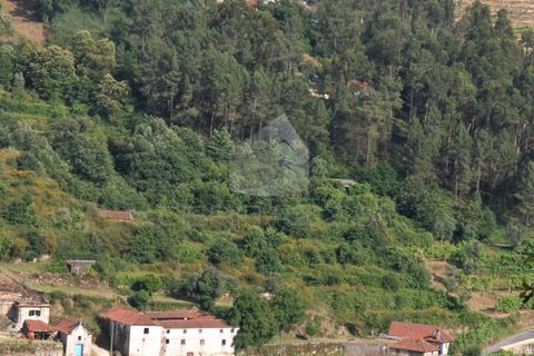 Villa i Fervenca, Braga, Fervenca - € 300.000 | Ref: TRZ_JT_426 - foto 23