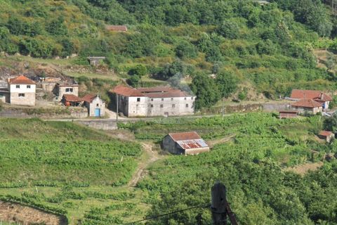 Villa i Fervenca, Braga, Fervenca - € 300.000 | Ref: TRZ_JT_426 - foto 1