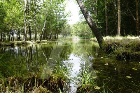 Helårsgrund i Eixo e Eirol, Aveiro, Eixo e Eirol - € 100.000 | Ref: 1011164/21 GL - foto 1