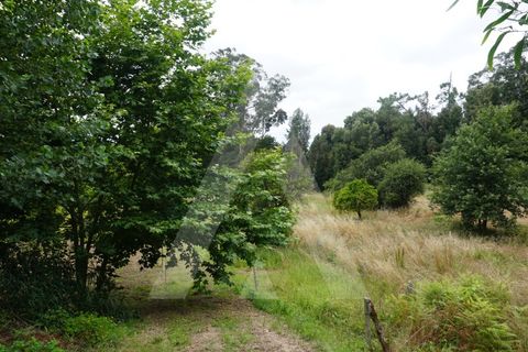 Helårsgrund i Eixo e Eirol, Aveiro, Eixo e Eirol - € 100.000 | Ref: 1011164/21 GL - foto 2