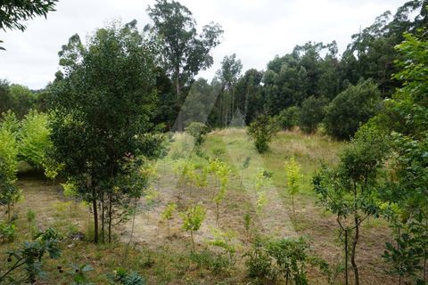 Helårsgrund i Eixo e Eirol, Aveiro, Eixo e Eirol - € 100.000 | Ref: 1011164/21 GL - foto 3
