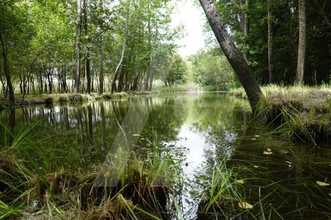 Helårsgrund i Eixo e Eirol, Aveiro, Eixo e Eirol - € 100.000 | Ref: 1011164/21 GL - foto 11