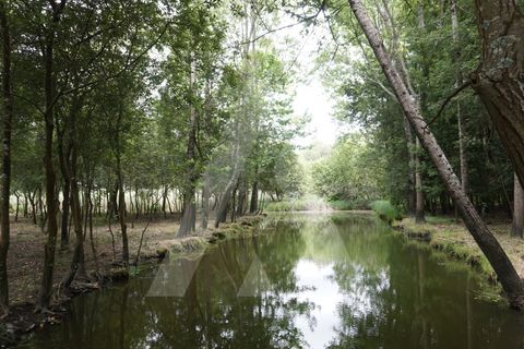 Helårsgrund i Eixo e Eirol, Aveiro, Eixo e Eirol - € 100.000 | Ref: 1011164/21 GL - foto 12