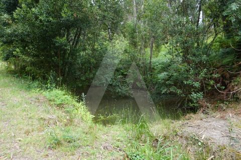 Helårsgrund i Eixo e Eirol, Aveiro, Eixo e Eirol - € 100.000 | Ref: 1011164/21 GL - foto 22