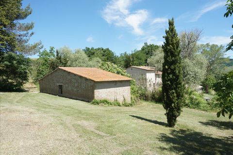 Farm hus i Radicofani, Siena, Radicofani - € 480.000 | Ref: CS139 - foto 9