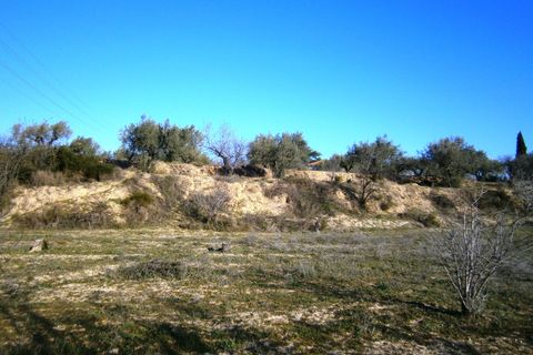 Terra a Agullent, Valencia, Agullent - € 50.000 | Ref: 8160 - foto 3