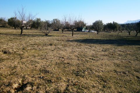 Terra a Agullent, Valencia, Agullent - € 50.000 | Ref: 8160 - foto 4