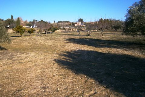 Terra a Agullent, Valencia, Agullent - € 50.000 | Ref: 8160 - foto 5