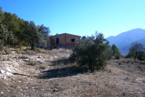 Finca i Agres, Alicante, Agres - € 99.000 | Ref: 1805 - foto 8