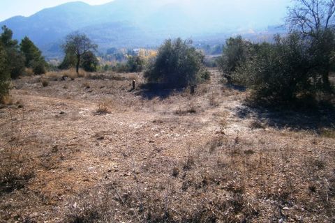 Finca i Agres, Alicante, Agres - € 99.000 | Ref: 1805 - foto 9