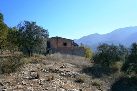 Finca i Agres, Alicante, Agres - € 99.000 | Ref: 1805 - foto 10