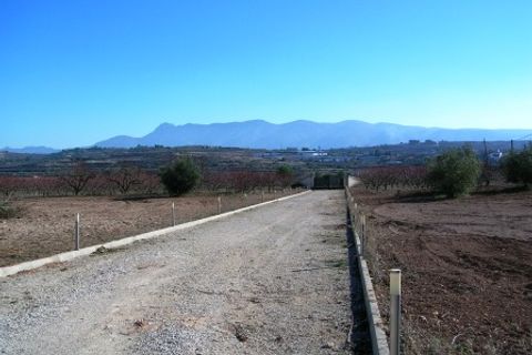 Finca i Albaida, Valencia, Albaida - € 450.000 | Ref: 1960 - foto 49