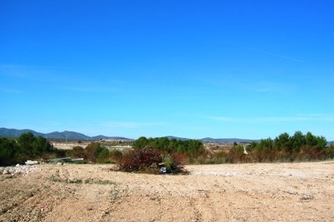 Finca i Albaida, Valencia, Albaida - € 450.000 | Ref: 1960 - foto 50