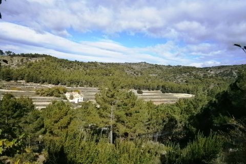 Landejendom i Alcoy, Alicante, Alcoy - € 260.000 | Ref: 2576 - foto 19