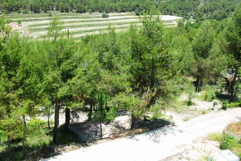 Landejendom i Alcoy, Alicante, Alcoy - € 260.000 | Ref: 2576 - foto 20