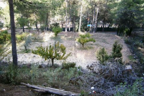 Landejendom i Alcoy, Alicante, Alcoy - € 260.000 | Ref: 2576 - foto 28