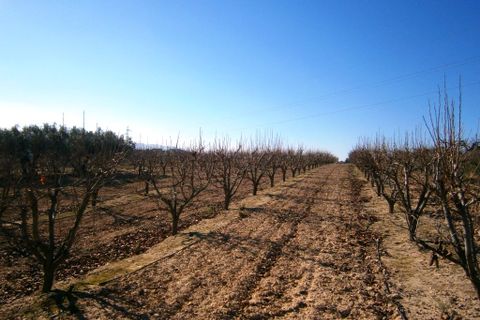 Landejendom i Agullent, Valencia, Agullent - € 80.000 | Ref: 2591 - foto 6