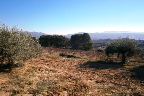 Landejendom i Agullent, Valencia, Agullent - € 80.000 | Ref: 2591 - foto 7