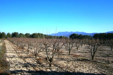 Landejendom i Agullent, Valencia, Agullent - € 80.000 | Ref: 2591 - foto 8