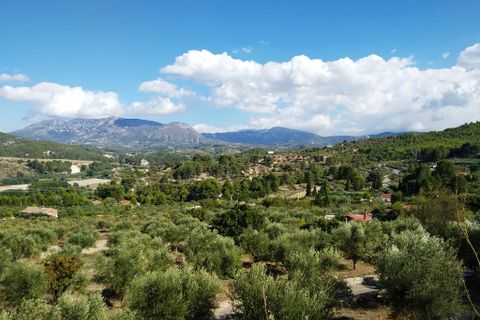 Landejendom i Cocentaina, Alicante, Cocentaina - € 180.000 | Ref: 2751 - foto 25