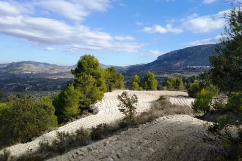 Helårsgrund i Benillup, Alicante, Benillup - € 59.000 | Ref: 8170 - foto 2