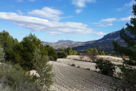 Helårsgrund i Benillup, Alicante, Benillup - € 59.000 | Ref: 8170 - foto 5