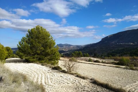 Helårsgrund i Benillup, Alicante, Benillup - € 59.000 | Ref: 8170 - foto 8