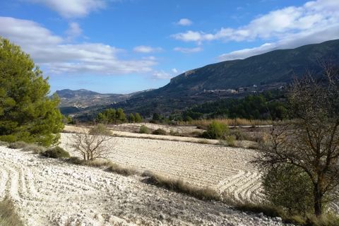 Helårsgrund i Benillup, Alicante, Benillup - € 59.000 | Ref: 8170 - foto 9