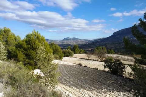 Helårsgrund i Benillup, Alicante, Benillup - € 59.000 | Ref: 8170 - foto 10