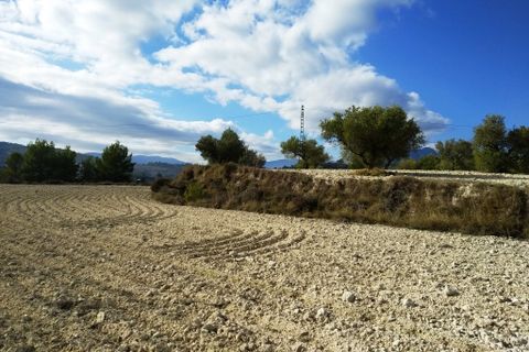 Helårsgrund i Benillup, Alicante, Benillup - € 59.000 | Ref: 8170 - foto 11