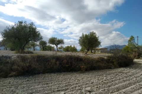 Helårsgrund i Benillup, Alicante, Benillup - € 59.000 | Ref: 8170 - foto 16