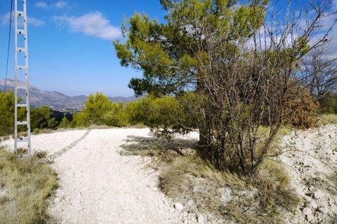 Helårsgrund i Benillup, Alicante, Benillup - € 59.000 | Ref: 8170 - foto 20