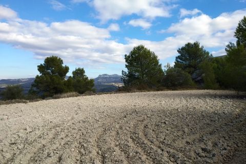 Helårsgrund i Benillup, Alicante, Benillup - € 59.000 | Ref: 8170 - foto 22