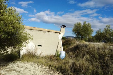 Helårsgrund i Benillup, Alicante, Benillup - € 59.000 | Ref: 8170 - foto 24