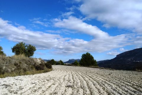 Helårsgrund i Benillup, Alicante, Benillup - € 59.000 | Ref: 8170 - foto 27
