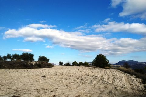 Helårsgrund i Benillup, Alicante, Benillup - € 59.000 | Ref: 8170 - foto 29