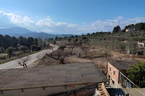 Finca i Millena, Alicante, Millena - € 220.000 | Ref: 2779 - foto 22