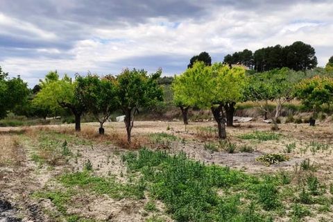 Finca i Millena, Alicante, Millena - € 220.000 | Ref: 2779 - foto 35