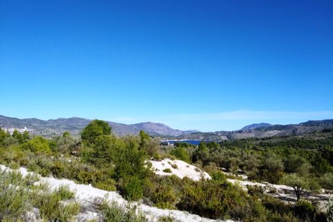Helårsgrund i Benimarfull, Alicante, Benimarfull - € 45.000 | Ref: 8171 - foto 2