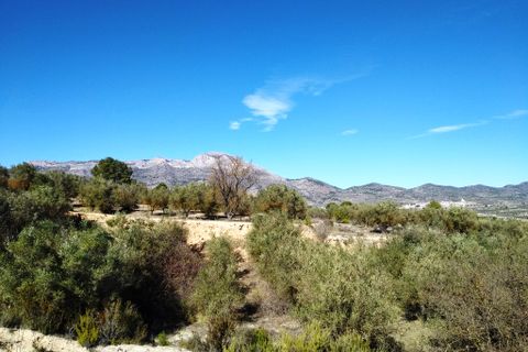 Helårsgrund i Benimarfull, Alicante, Benimarfull - € 45.000 | Ref: 8171 - foto 3