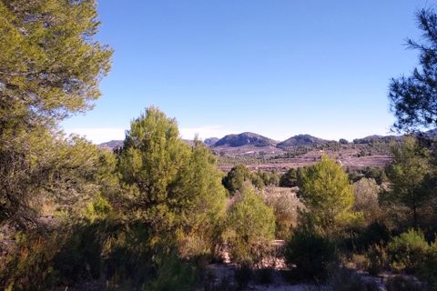 Helårsgrund i Benimarfull, Alicante, Benimarfull - € 45.000 | Ref: 8171 - foto 6