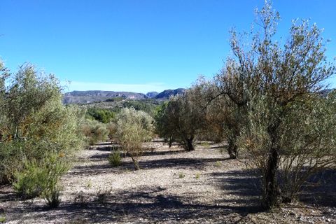 Helårsgrund i Benimarfull, Alicante, Benimarfull - € 45.000 | Ref: 8171 - foto 7