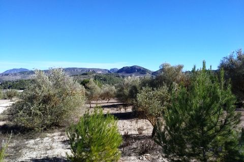 Helårsgrund i Benimarfull, Alicante, Benimarfull - € 45.000 | Ref: 8171 - foto 9