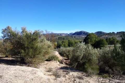 Helårsgrund i Benimarfull, Alicante, Benimarfull - € 45.000 | Ref: 8171 - foto 11