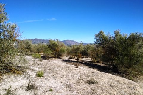 Helårsgrund i Benimarfull, Alicante, Benimarfull - € 45.000 | Ref: 8171 - foto 12